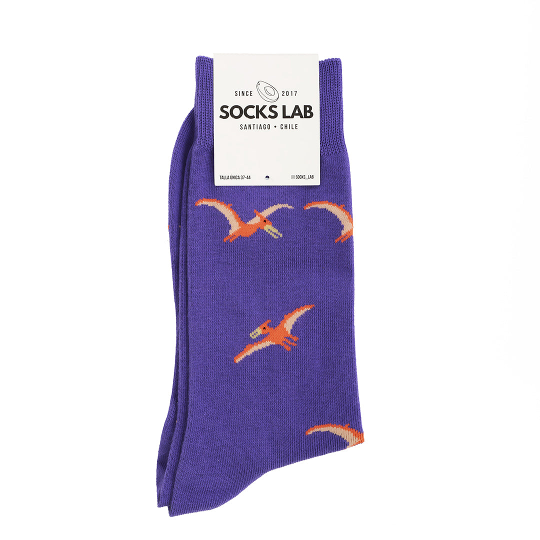 Socks Lab - Calcetines Pterodactilo
