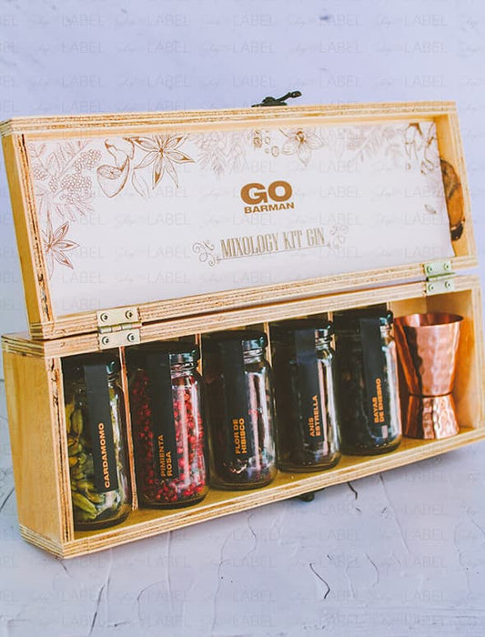 Go Barman Mini Mixology