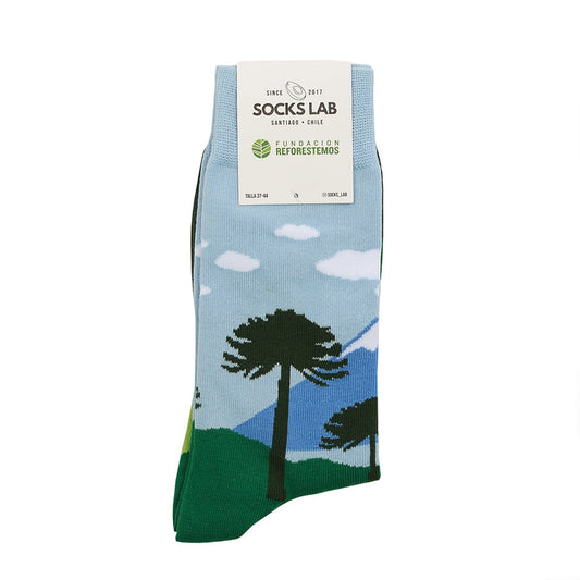 Socks Lab - Calcetines Reforestemos